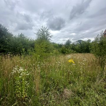 Домаморич, Тернопільський, Тернопільська область 14000.0 USD