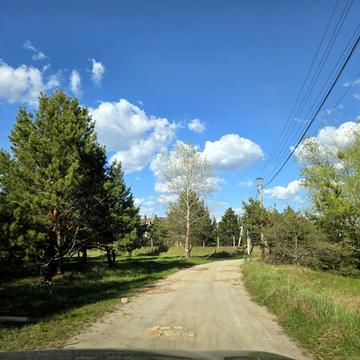 Олександра Ловягіна