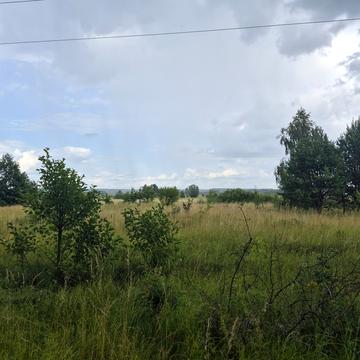 Димер, Вишгородський, Київська область 99000.0 USD