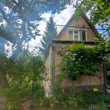 Лінія, 8