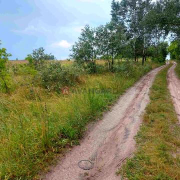 Тарасівська, 50