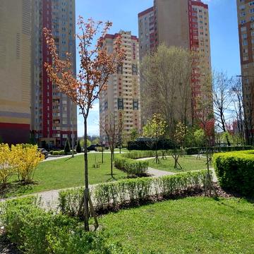 Юлії Здановської вул. (Ломоносова), (Будинок 6)