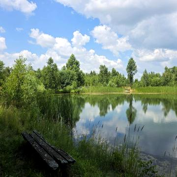 Гавронщина, Бучанський, Київська область 90000.0 USD