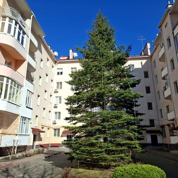 Олександра Олеся вул., 25в