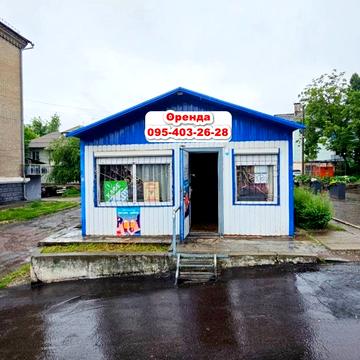 Свободи просп. (Леніна), 81