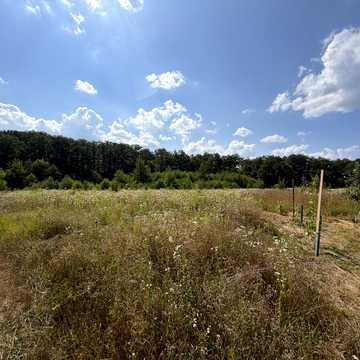 Березина, Вінницький, Вінницька область 50000.0 USD