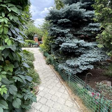 Гулака-Артемовського вул. (Червоного Жовтня)