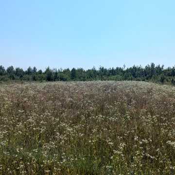 Березівка, Івано-Франківський, Івано-Франківська область 15500.0 USD