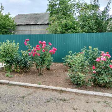 Житомирська, 18