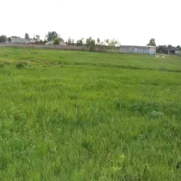 Урочище Плоске