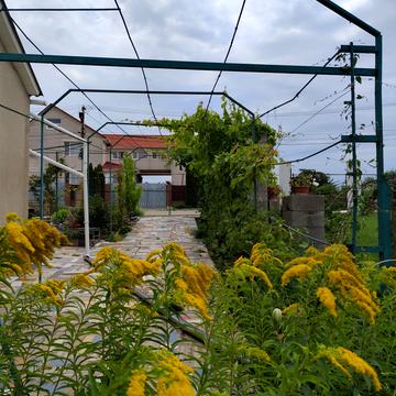 Хлібодарська