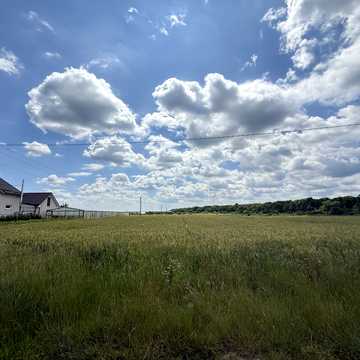 Ярослава Мудрого