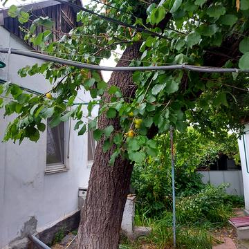 1-й Парниковий пров., 34
