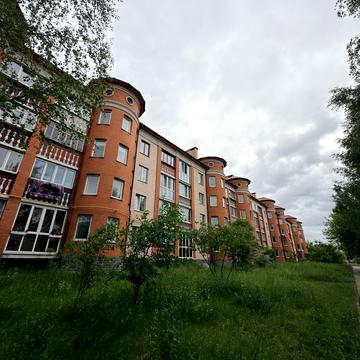 Симона Петлюри вул., 23-А