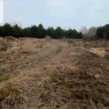 Димер, Вишгородський, Київська область 58000.0 USD
