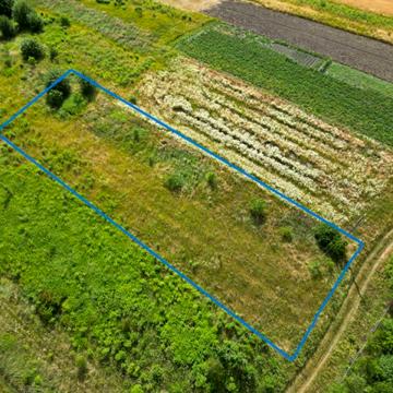 Давидів, Львівський, Львівська область 53000.0 USD