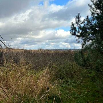 Оброшине, Львівський, Львівська область 27000.0 USD