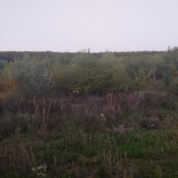 Іршавська вул.