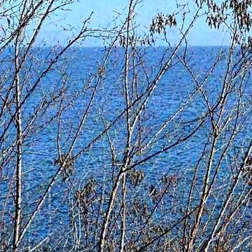 Французький бульв.