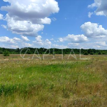 Проців, Бориспільський, Київська область 90000.0 USD