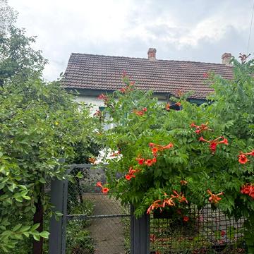 Іловайська вул. (Карбишева)