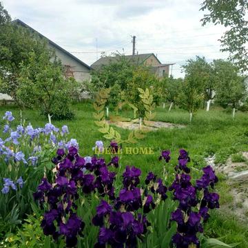 цукрова, 27