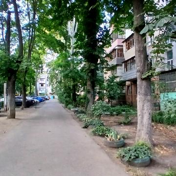 Космонавтів вул., 31/2