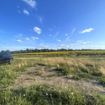 Лісові Гринівці, Хмельницький, Хмельницька область 6500.0 USD