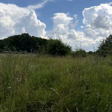 вулиця Тараса Шевченка