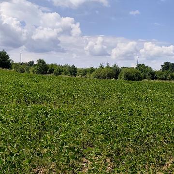 Негівці, Калуський, Івано-Франківська область 25000.0 USD