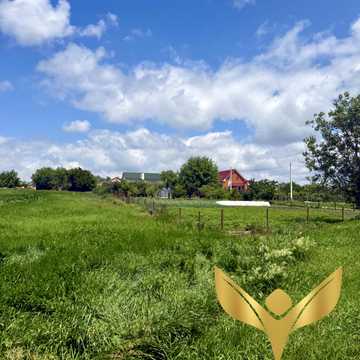 Соколівське, Кропивницький, Кіровоградська область 10000.0 USD