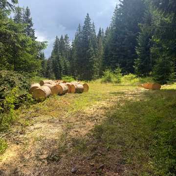 Яблуниця, Верховинський, Івано-Франківська область 199000.0 USD