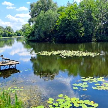 65-та Садова вул., 1Б