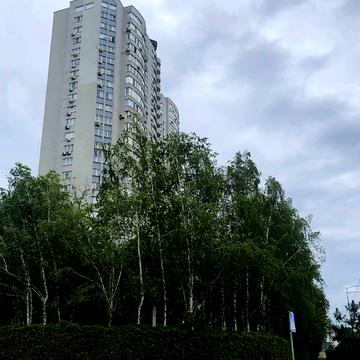 Михайла Гришка вул., 9
