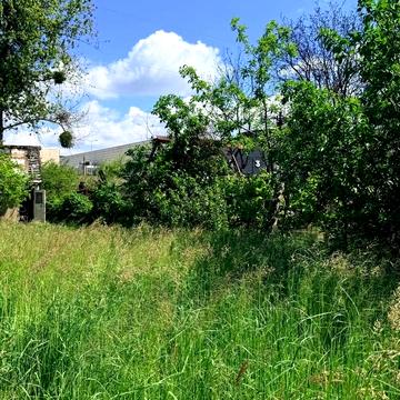 Солонка, Львівський, Львівська область 23000.0 USD