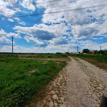 Барвінкова