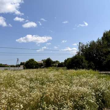 Софіївська Борщагівка, Бучанський, Київська область 65000.0 USD