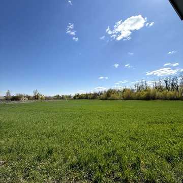 Нові Петрівці, Вишгородський, Київська область 50000.0 USD
