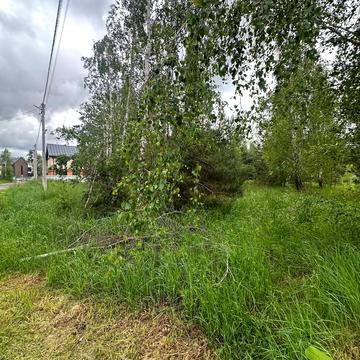 Ворзель, Бучанський, Київська область 63000.0 USD