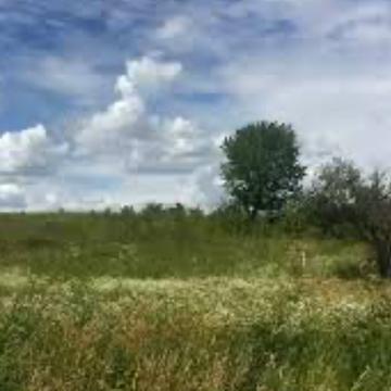 Крушинка, Фастівський, Київська область 40500.0 USD