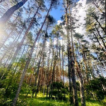 Селищна рада, Козин, Обухівський, Київська область 9000000.0 USD