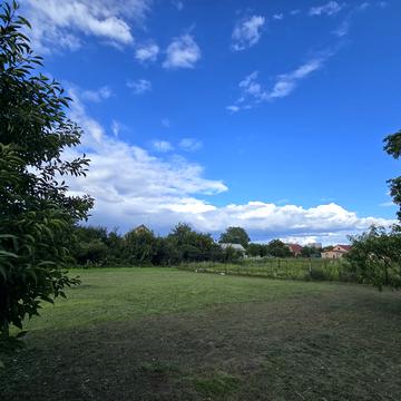 Нова вул.