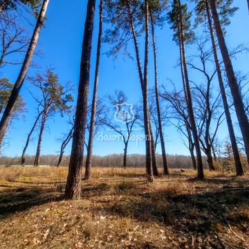 Анатолія Солов'яненка вул.