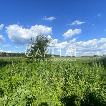 Нові Безрадичі, Обухівський, Київська область 303508.0 USD