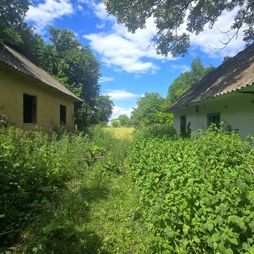 Центральна, 102
