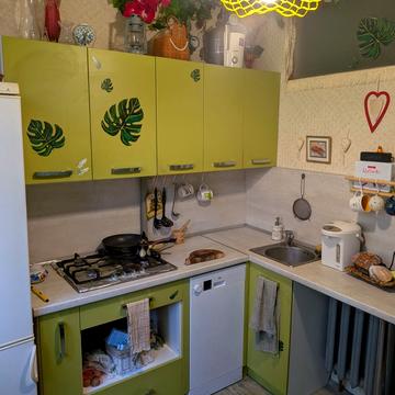 Вишгородська вул., 33