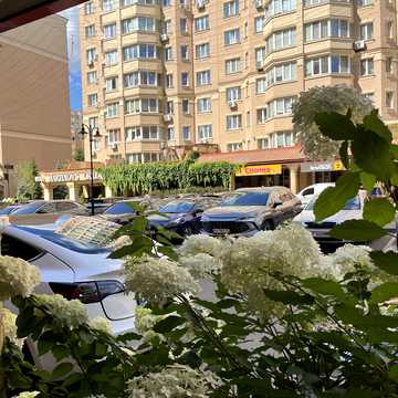 Миру вул., 40