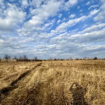 Гостомель, Бучанський, Київська область 4000.0 USD