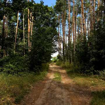 Гостомель, Бучанський, Київська область 12000.0 USD