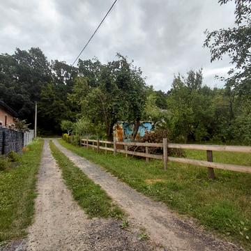 Горіхова
